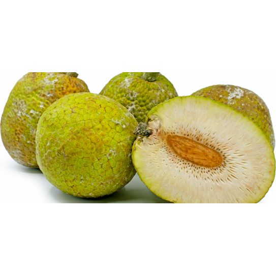 Breadfruit